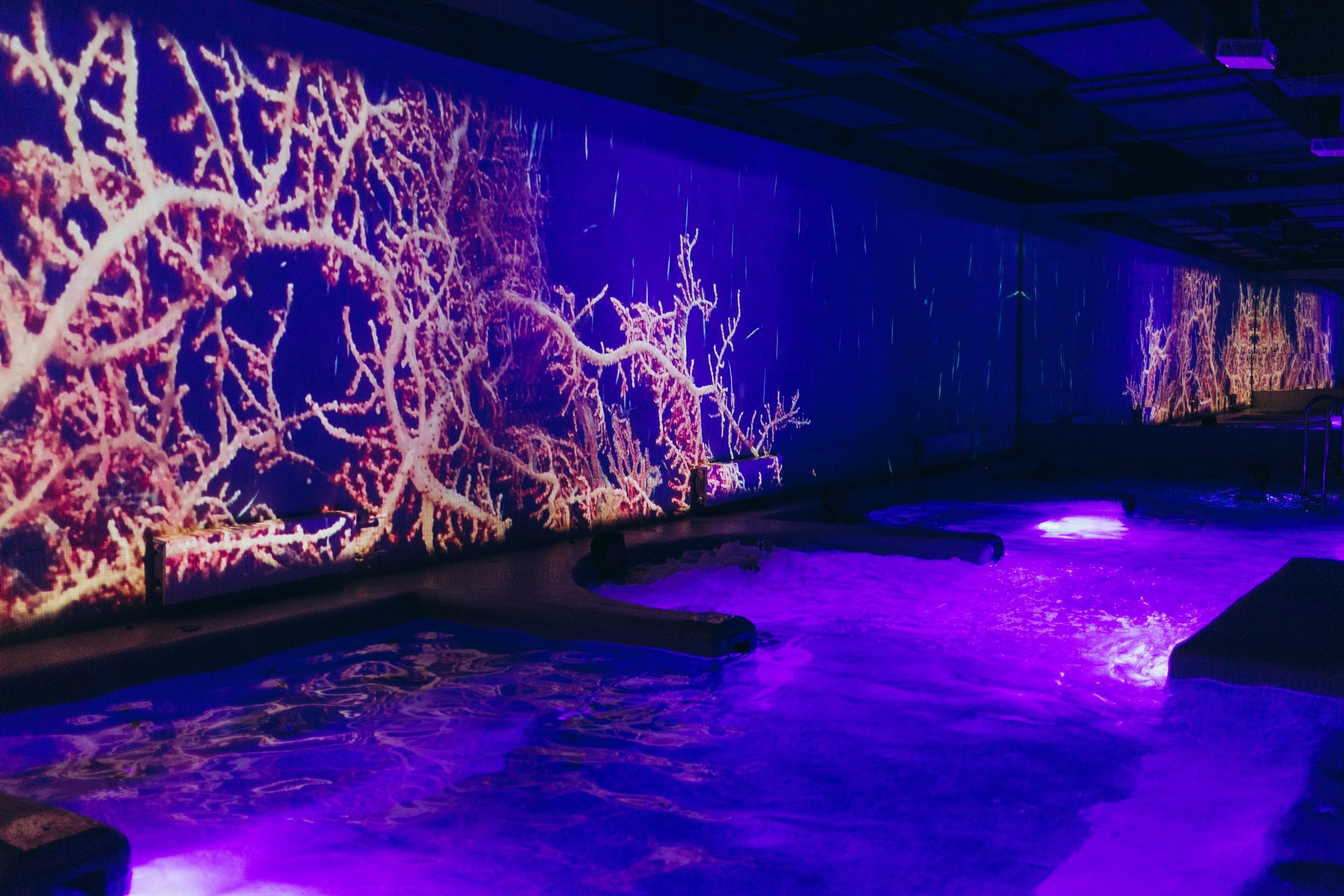 Уникальные водные пространства в Тортуге - единственный в стране бассейн с иммерсивным экраном