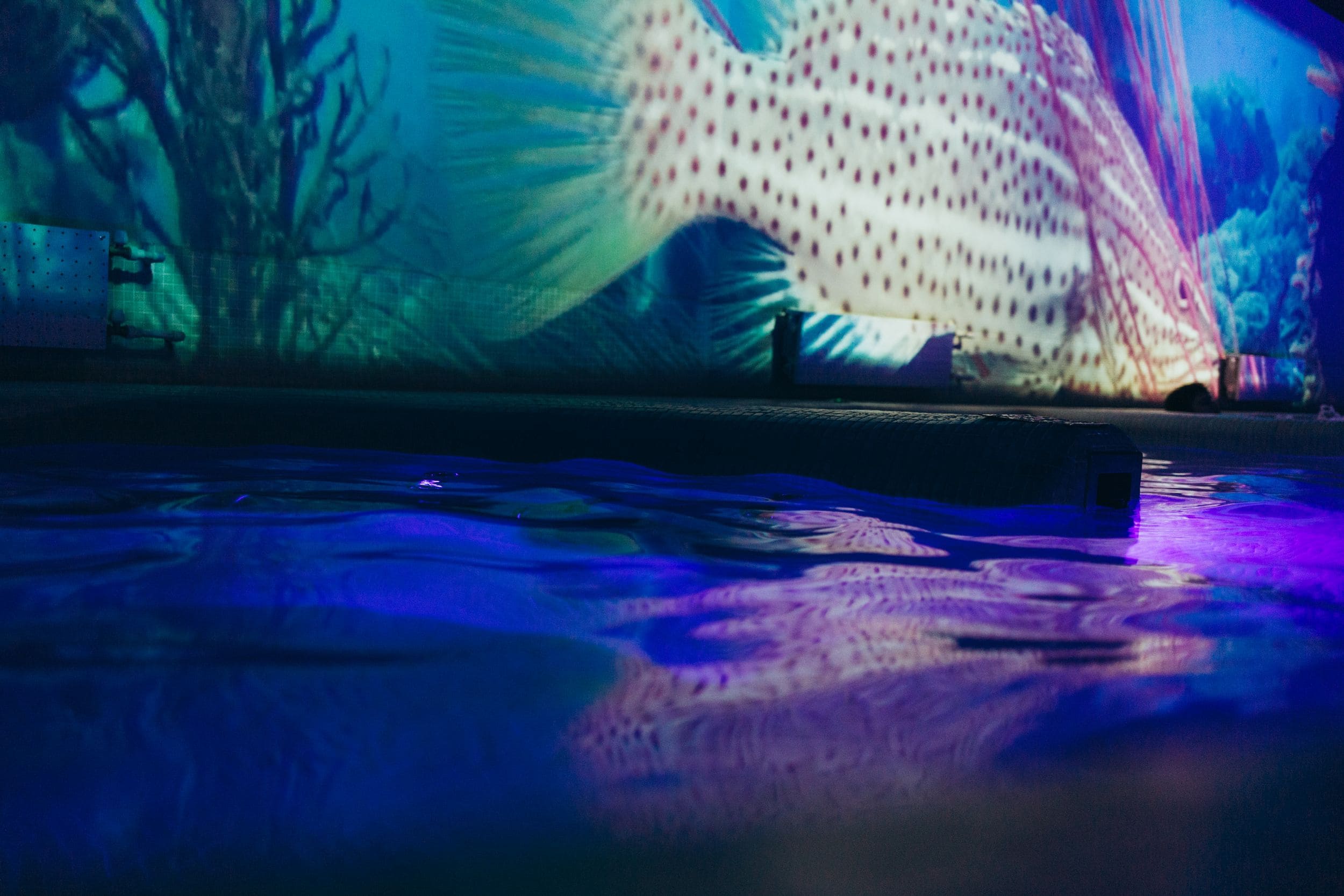 Уникальные водные пространства в Тортуге - единственный в стране бассейн с иммерсивным экраном